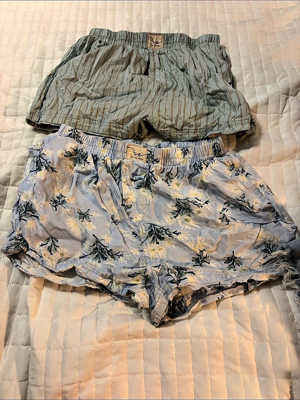 Free People We The Free Day to Day Boxer Shorts Blue & White